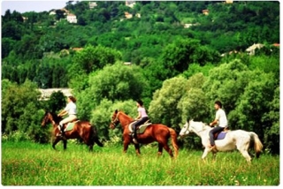  Riding in the green 